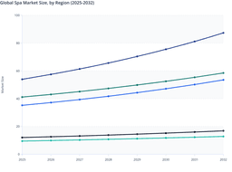 Premium Wellness and Regional Differentiation in the Global Spa Market