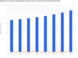 Industrial Diversification and Manufacturing Expansion in MEA Polypropylene Market