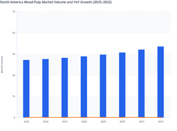 North America Wood Pulp Production Growth Through 2032