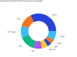 Europe Watertube Boiler Market: Manufacturing Strength and Infrastructure Maturity Shaped Country Shares