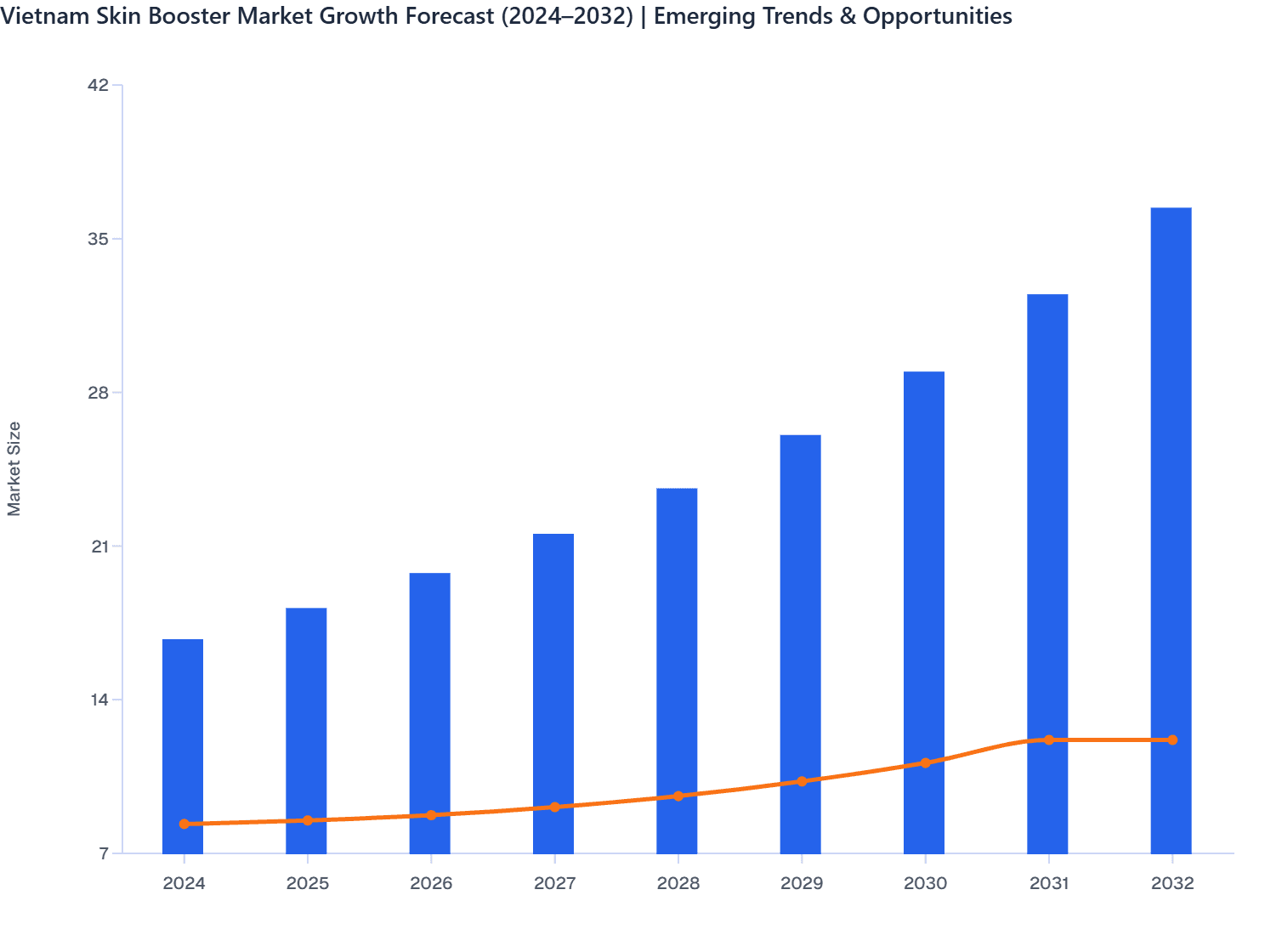 Vietnam Skin Booster Market Growth Forecast (2024–2032) | Emerging Trends & Opportunities