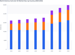 North America Cod Liver Oil Market Outlook: Country-Level Demand Trends and Forecasts