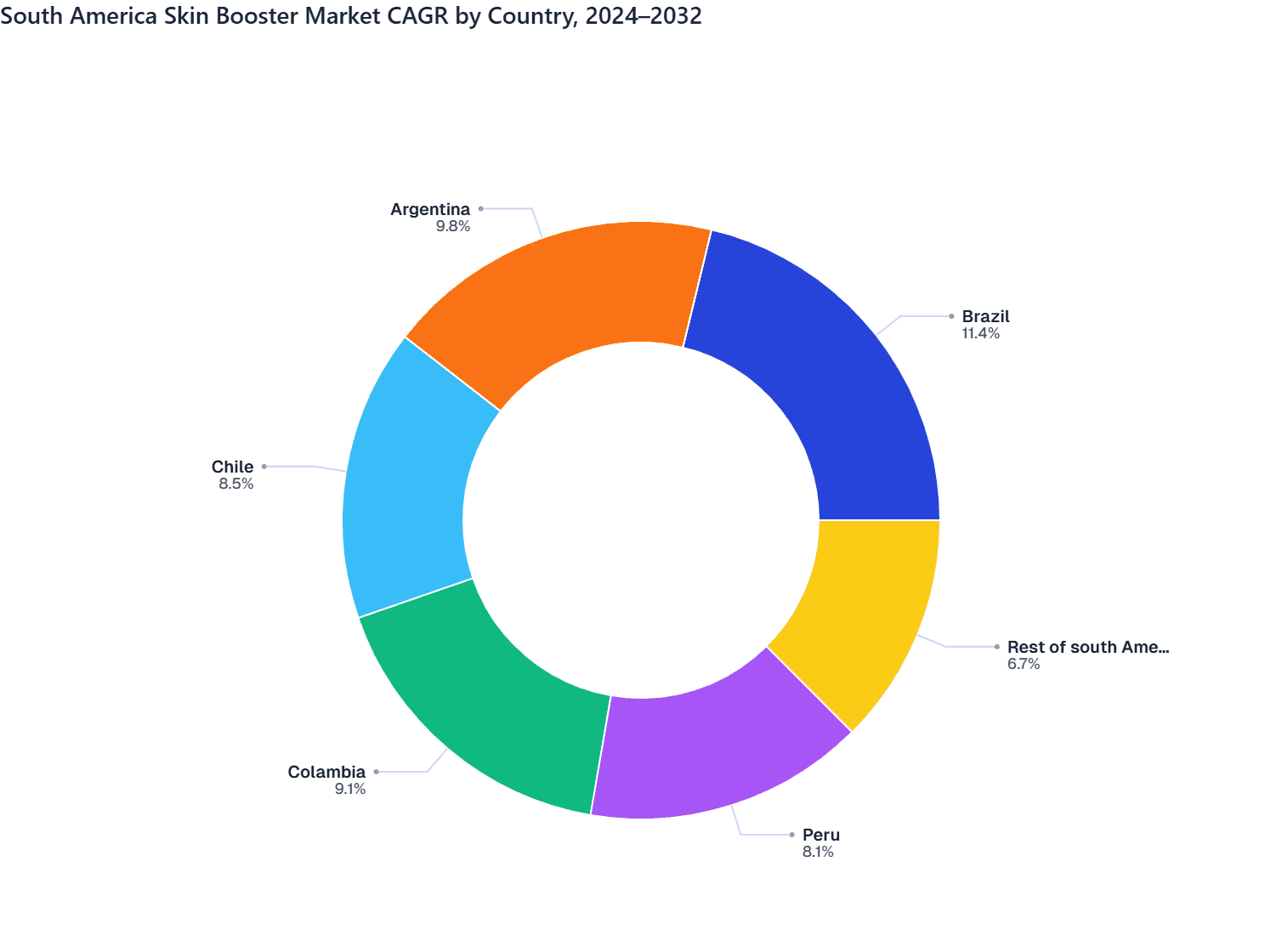 South America Skin Booster Market CAGR by Country, 2024–2032