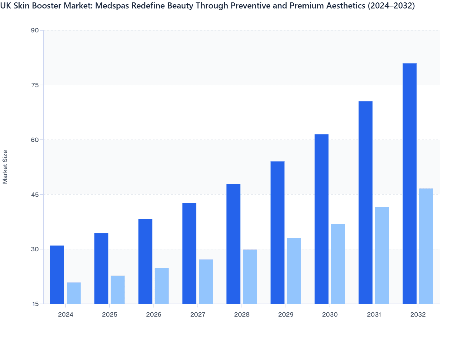 UK Skin Booster Market Size by End-User: Medspas vs Dermatology Clinics (2024–2032)