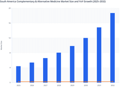 South America CAM Market: Regional Forecast (2025–2032)