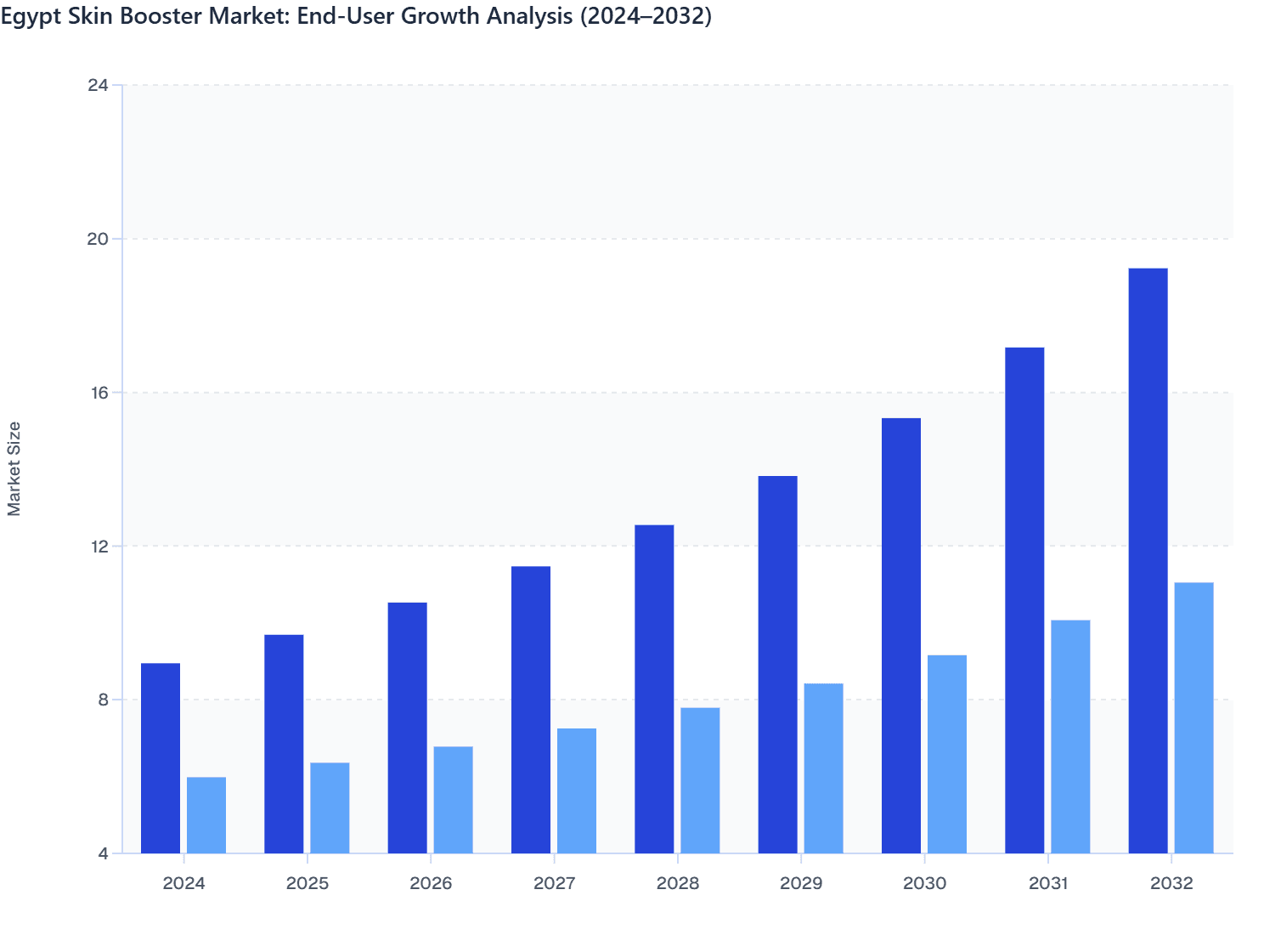 Egypt Skin Booster Market: End-User Growth Analysis (2024–2032)