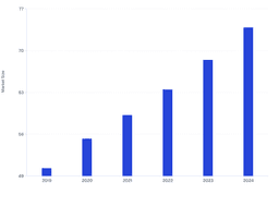 Historical Market Size of Global Bicycle Market (2019–2024)